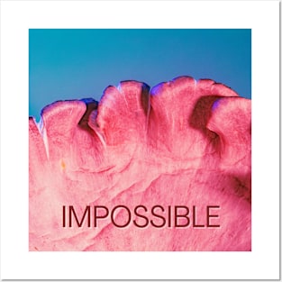 Impossible Posters and Art